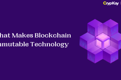 What Makes Blockchain Immutable Technology