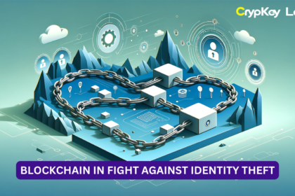 Blockchain in Fight Against Identity Theft