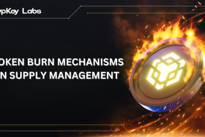 Token Burn Mechanisms in Supply Management