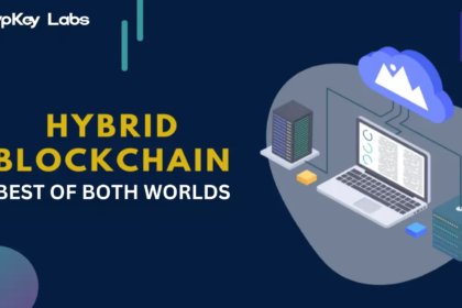 Hybrid Blockchains: Best of Both Worlds