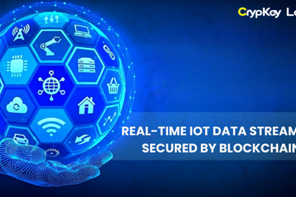 Real-Time IoT Data Streaming Secured by Blockchain