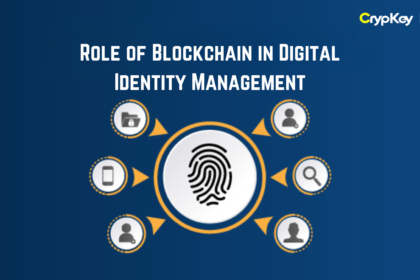 Role of Blockchain in Digital Identity Management