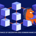 Importance of Decentralized Domain Name Systems