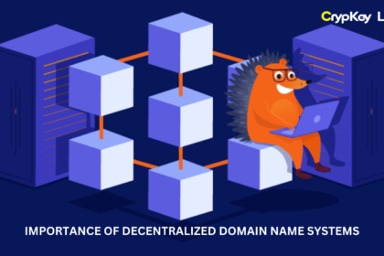 Importance of Decentralized Domain Name Systems