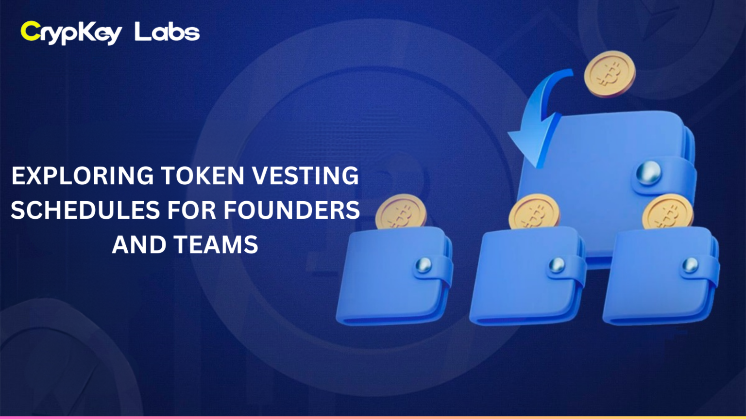 Exploring Token Vesting Schedules for Founders and Teams