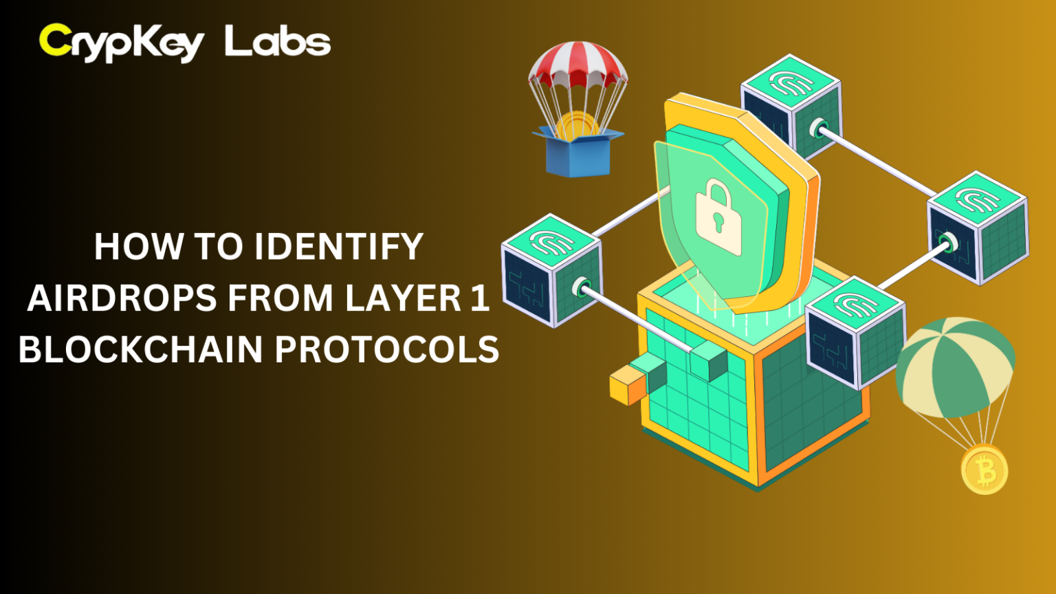 How to Identify Airdrops from Layer 1 Blockchain Protocols